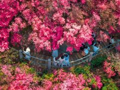 -木兰云雾山