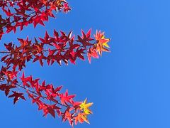 -香山公园