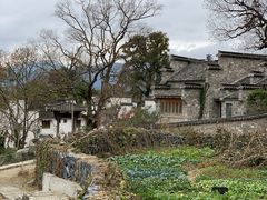 -塔川景区