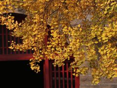 -北京石刻艺术博物馆(五塔寺)