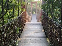 -吴淞炮台湾湿地森林公园烧烤区