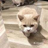 魔都遛娃圣地‖来和萌宠亲密的约个会吧！