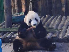 -大连森林动物园