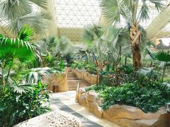 -杭州开元森泊度假乐园