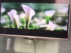 -福奈特洗衣洗鞋(芷江西路店)