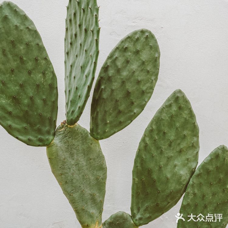 北京周末|央美毕业耗时2年打磨出理想家