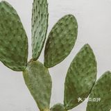 北京周末|央美毕业耗时2年打磨出理想家