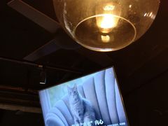 -斯比特花园西餐厅(东方商厦店)