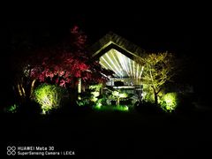 -杭州桐庐康莱德酒店西餐厅-舍