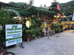 -Jungle Kitchen