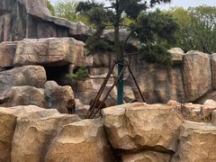 -武汉动物园