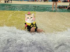 -四季贵州·山地温泉水世界