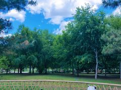 -长春公园(普阳街道)