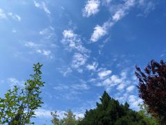 -东升八家郊野公园