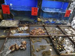 水产区-浩家苑菜馆(汉口路店)