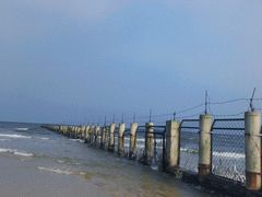 -日照海滨国家森林公园