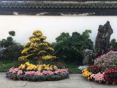 -上海醉白池公园
