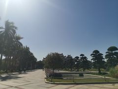 -顺峰山公园