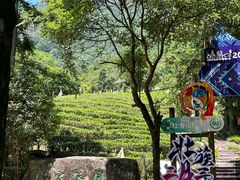 -姑婆山旅游区