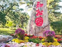 -香山公园