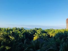 -三亚湾海居铂尔曼度假酒店