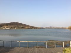 -羊山湖公园