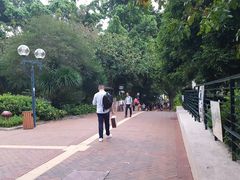-九龙公园