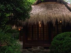 -中国茶叶博物馆(双峰馆区)