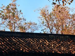 -北山街历史文化街区