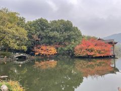 -西湖外事游船(花港观鱼码头)