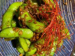 -Hatsune隐泉日式料理(SKP店)