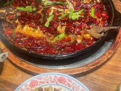 -老板恋上鱼(恒隆广场店)