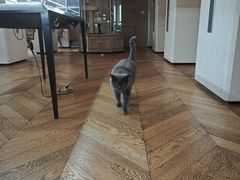 -Me Coffee下午茶艺术空间