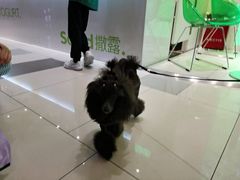 -成都仁和新城购物中心
