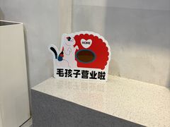 -伟伟宠物医院·CT影像中心·瑞派犬猫综合性门诊(汉口总院)