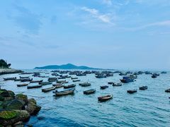 -海源公园
