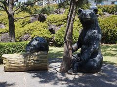 -济州岛泰迪熊博物馆