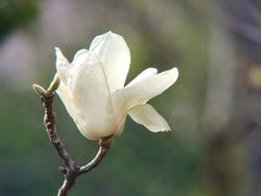 -烈士陵园(地铁站)