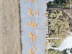 -重庆中央公园(渝北区)