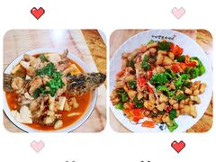 -煲来饱去冷水鱼