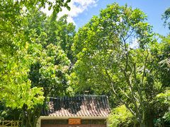 -深圳国际园林花卉博览园