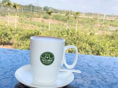 -侯臣咖啡文化村