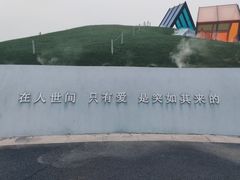 -荷兰花海