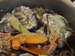 -土蚝·高压锅生蚝(百姓美食街店)