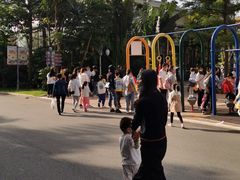 -灵玲国际马戏城