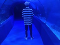 -左海海底世界
