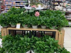 -世纪联华超市(凤起店)