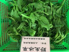 -花好悦园(瀛洲店)