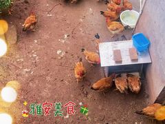 -天全县三土司椒麻鸡餐厅