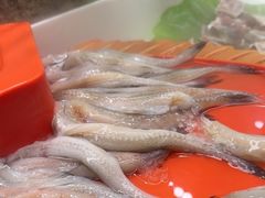 -四囍码头海鲜烧烤自助火锅(外滩南京东路悦荟广场店)